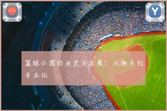 篮球公园的历史与发展：从街头到专业化