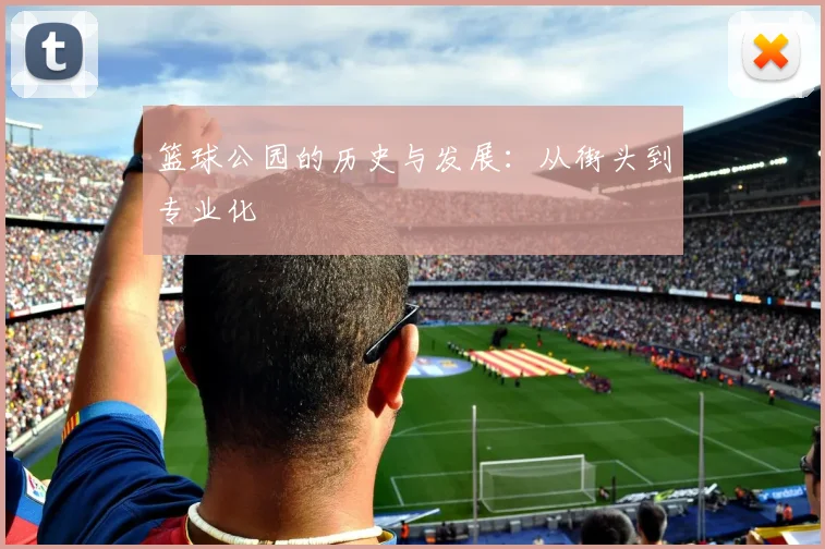 篮球公园的历史与发展：从街头到专业化