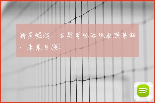 新星崛起！东契奇统治级表现集锦，未来可期！